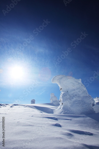 Snow monster on mount Zao, japan © norikazu
