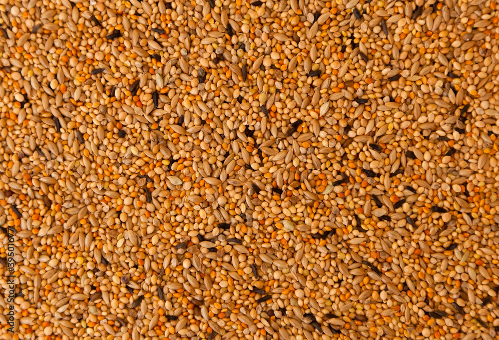 bird seed, mixed granular food for canaries and budgerigar bird seed, mixed granular food for canaries and budgerigar