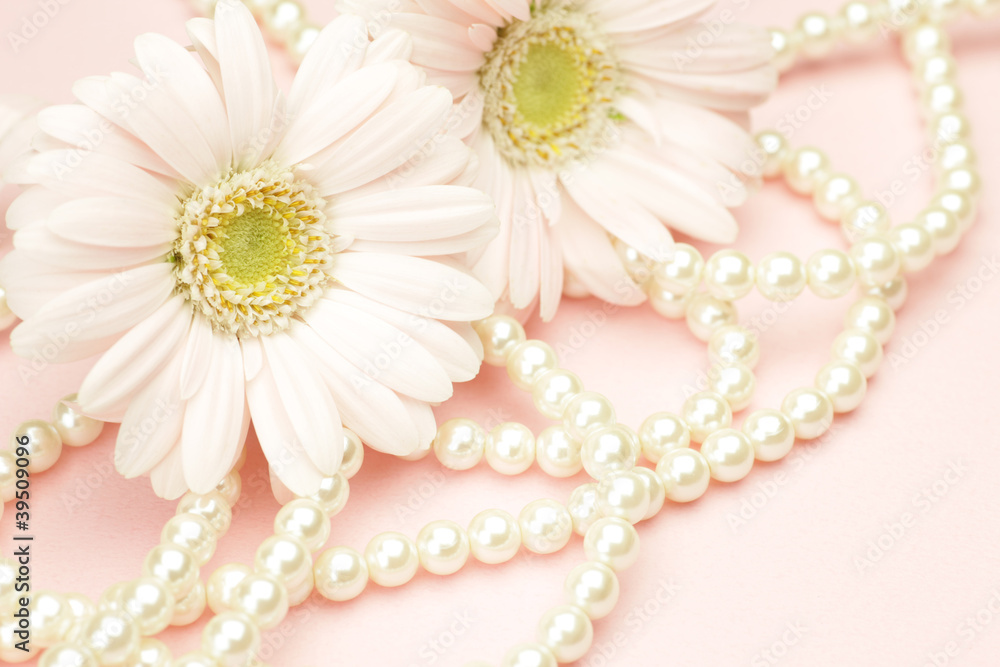 gerbera and pearl gerbera and pearl