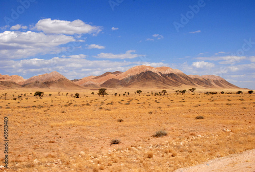 paysage du Damaraland 25
