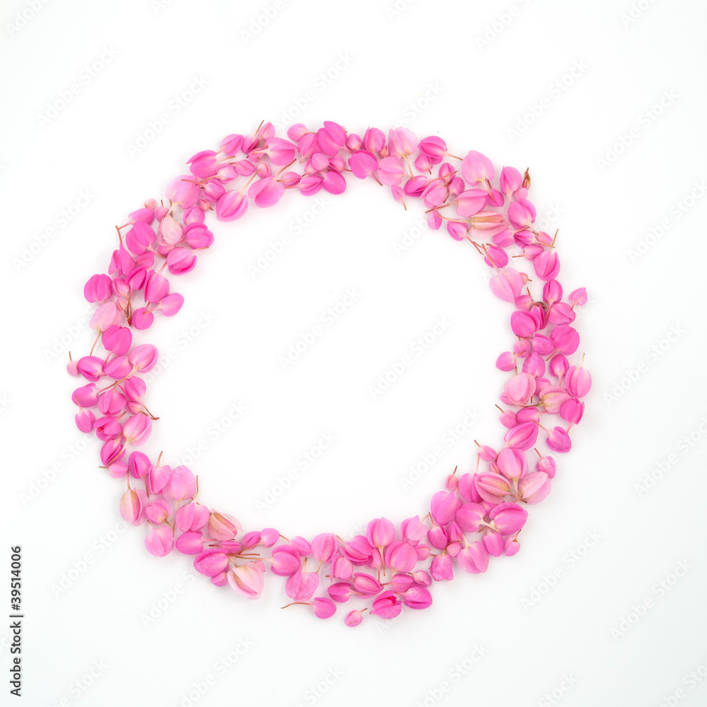 pink flowers circle frame pink flowers circle frame