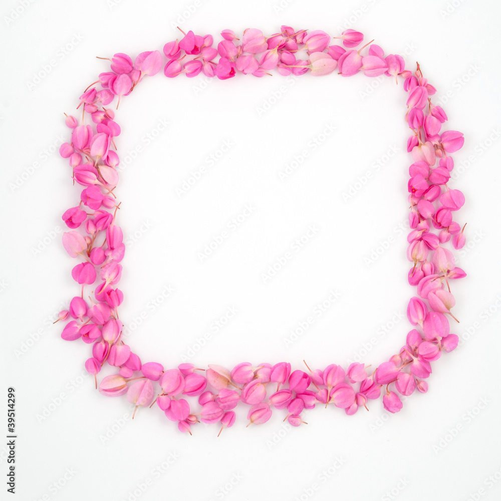 pink flowers rectangular frame pink flowers rectangular frame