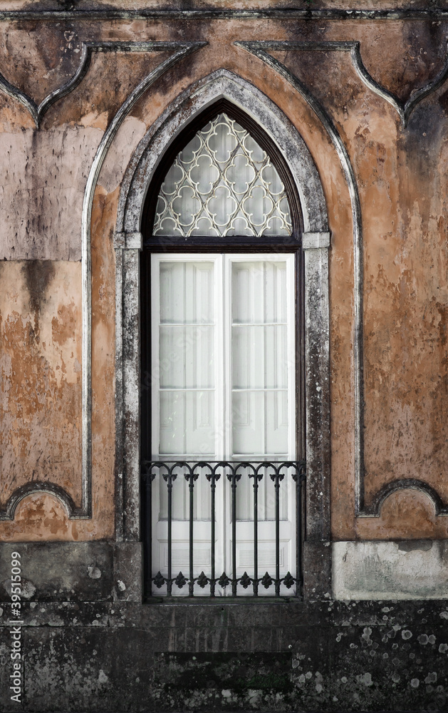 Gothic Window Gothic Window