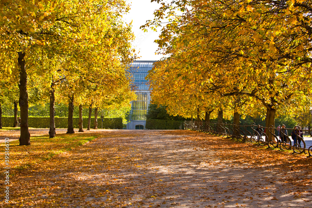 Naklejka premium Foglie e colori in autunno