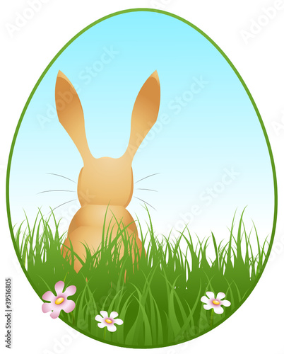 Hase auf einer Frühlingswiese