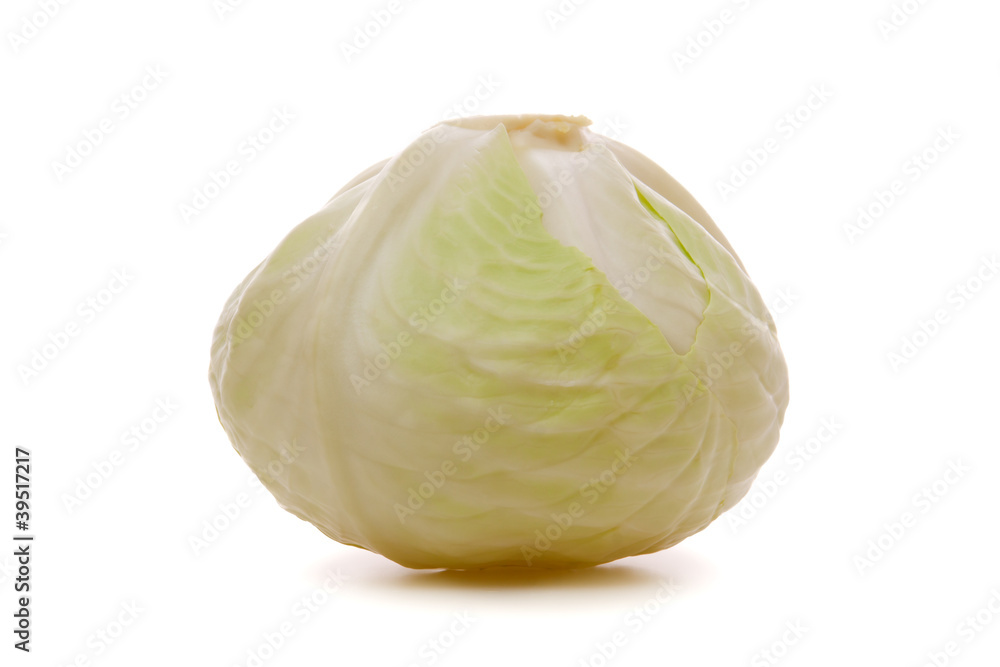 Weißkohl Weißkohl