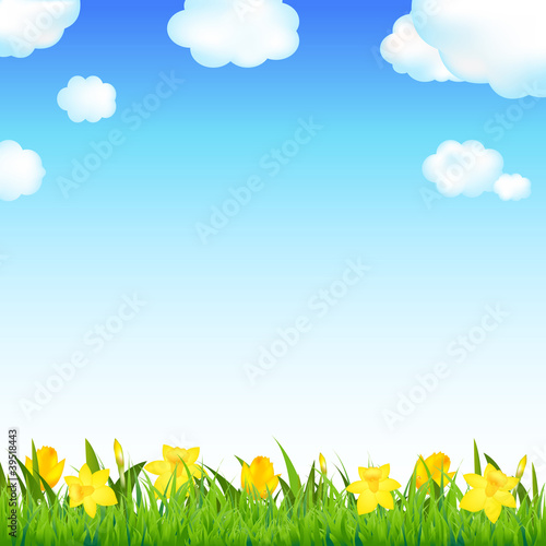 Flower Meadow With Grass And Cloud
