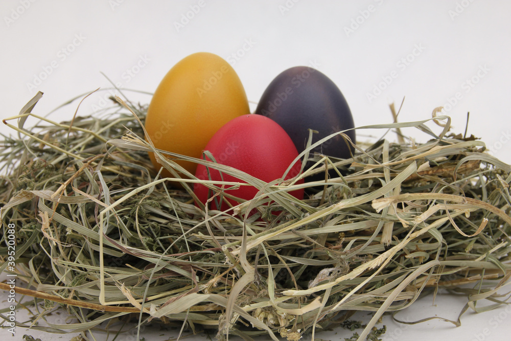Osternest Osternest