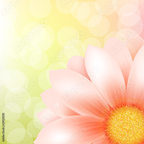 Fototapeta Naklejka Na Ścianę i Meble -  Pink Gerber And Bokeh