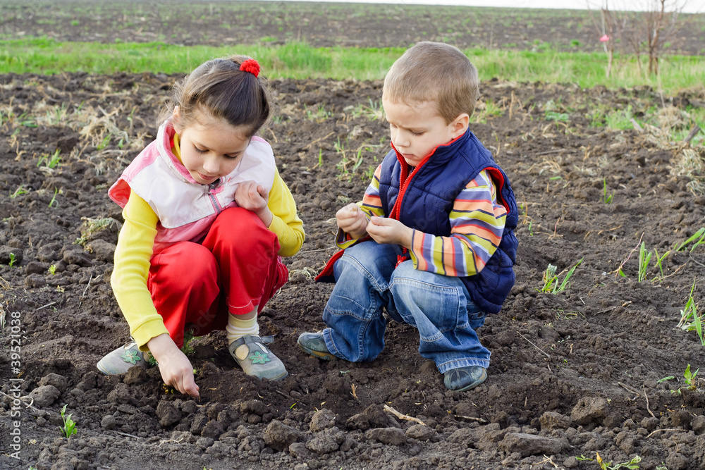 Two little children planting seeds Two little children planting seeds