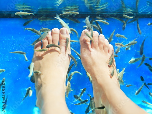 Fish spa pedicure