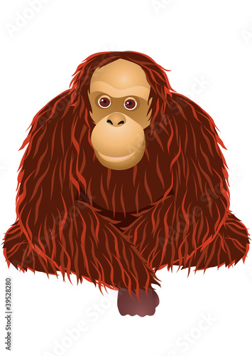 Orangutan Cartoon