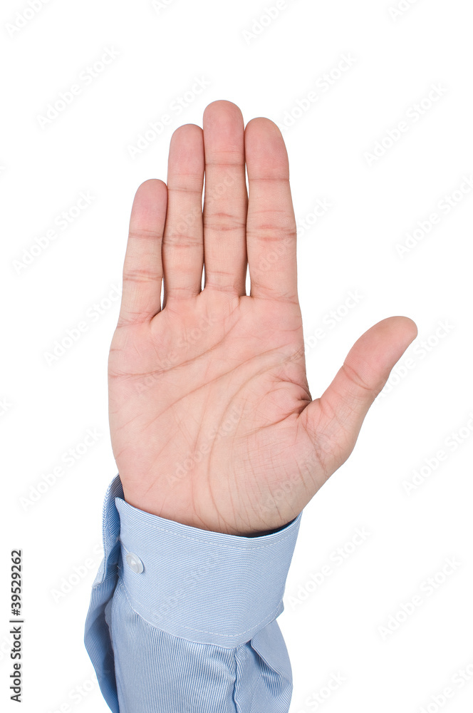 businessman hand isolated on white background businessman hand isolated on white background