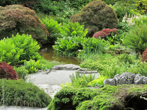 Pond in an English Garden
