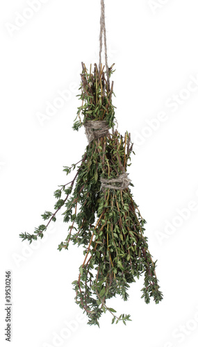 fresh green thyme hanging on rope isolated on white