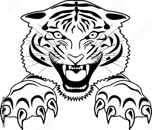 Tiger tattoo