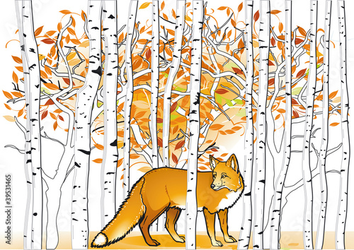 Fuchs im Wald