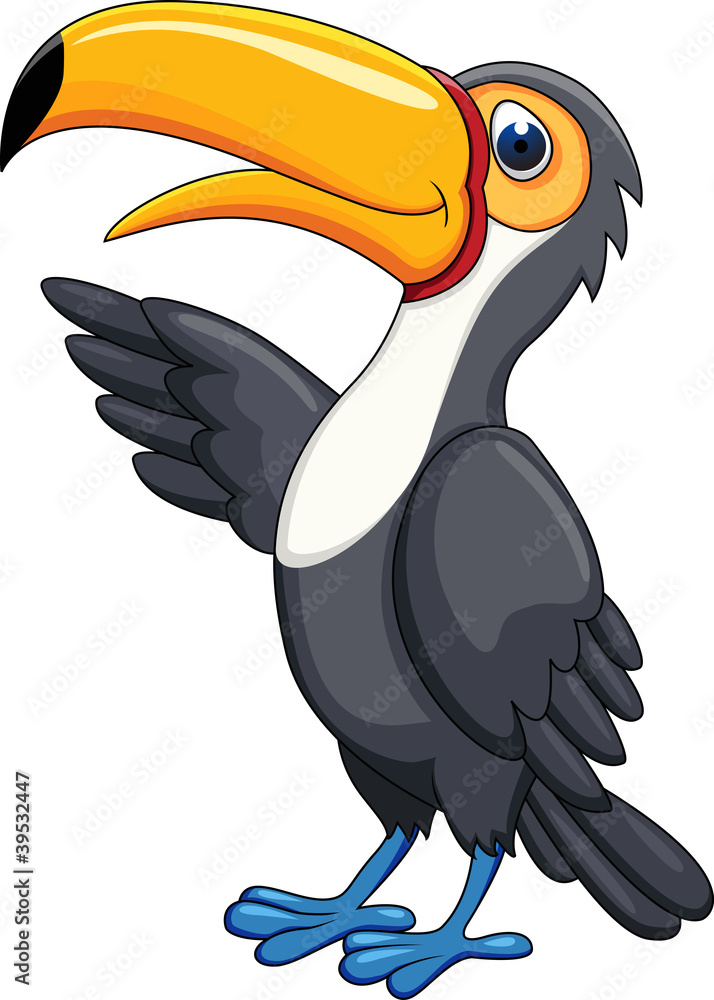 Fototapeta premium Toucan Bird