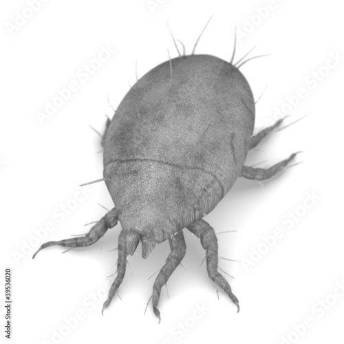 3d render of mite bug photo