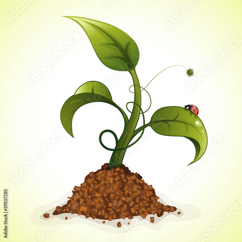 Green Sprout