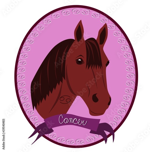 Horse zodiac - Cancer