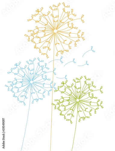 dandalions