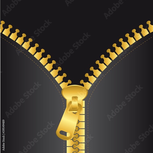 gold zip vector