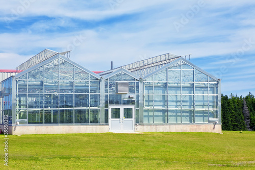 Glass Greenhouses © V. J. Matthew