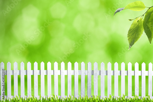 Summer backgrounds with bokeh  grass and white fence