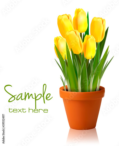 Fototapeta Naklejka Na Ścianę i Meble -  Fresh spring yellow flowers.  Vector illustration