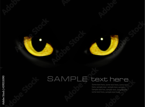 Cat eyes in dark night  Vector background