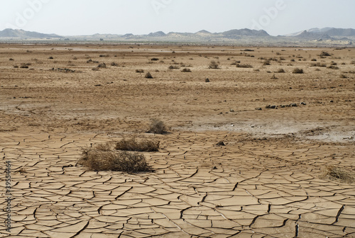Canvastavla Dry cracked soil and plant in desert