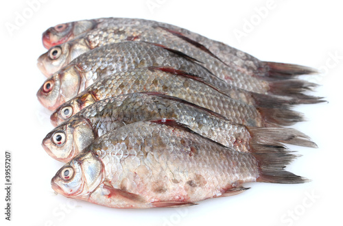 Fresh fishes isolated on white