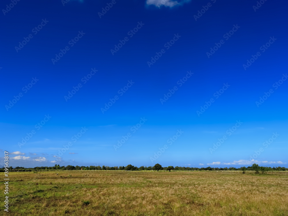 Dry Field Dry Field