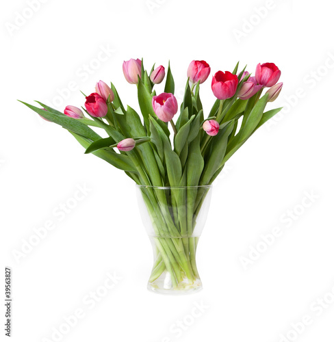 Pink tulips in the vase