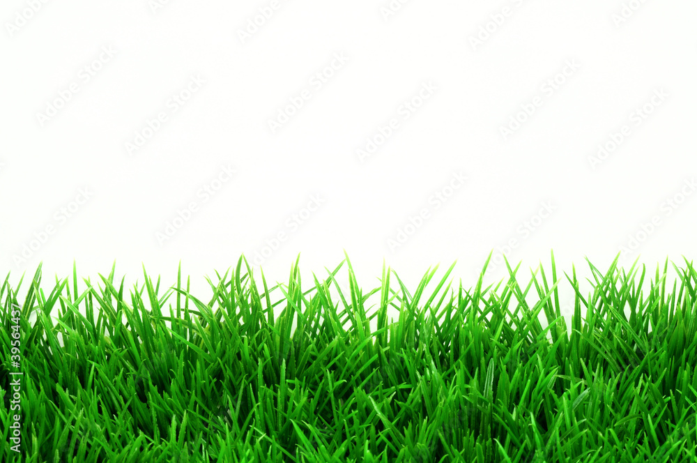 Fototapeta premium sztuczna trawa
