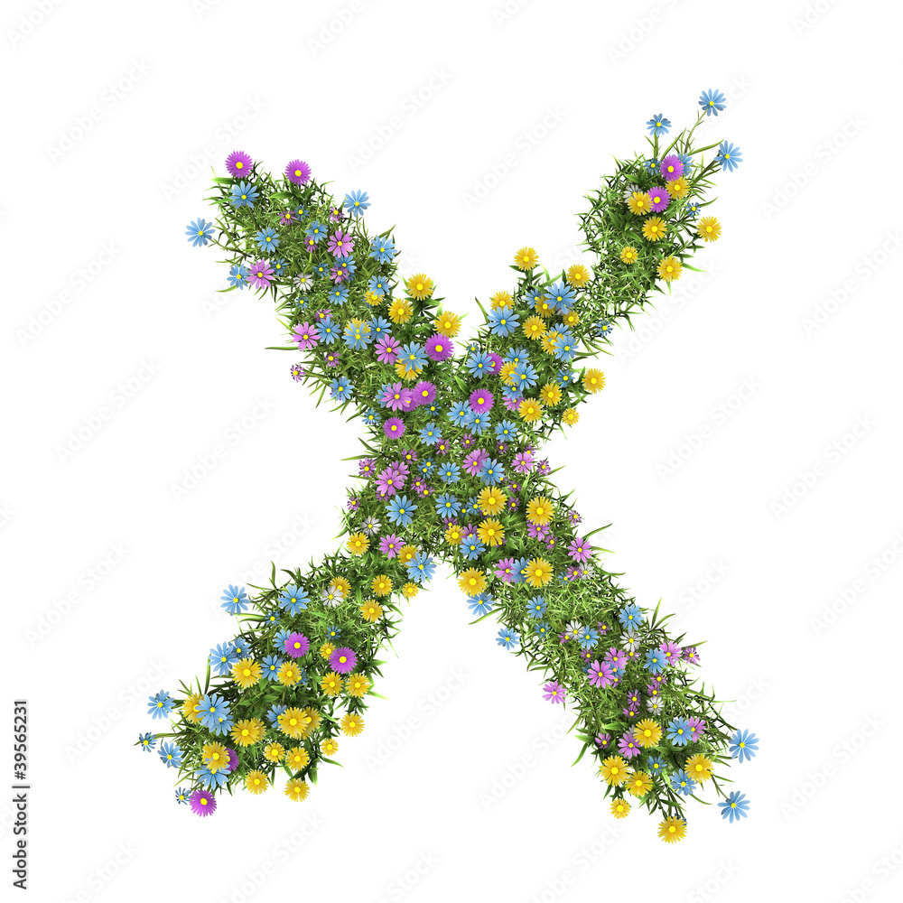 Letter X, flower alphabet isolated on white