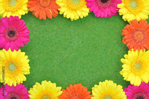 Spring flower frame