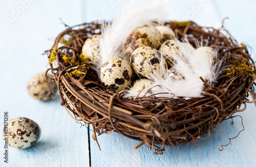Nest zu Ostern