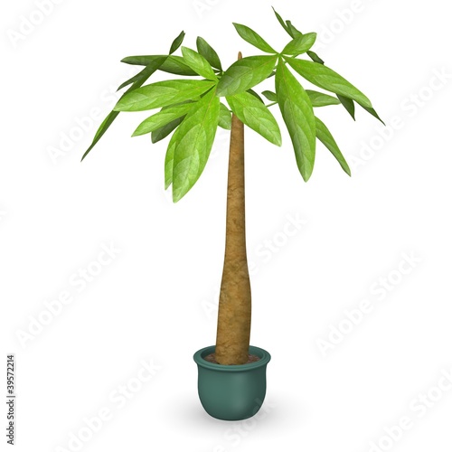 3d render of simple plant