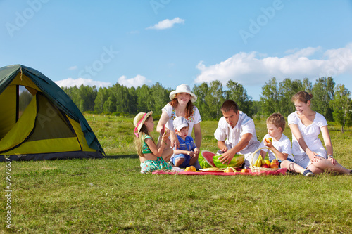 family picnic in park © Serg Zastavkin