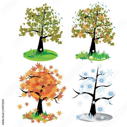 Four seasons - spring, summer, autumn, winte photo