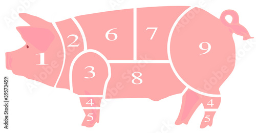pig chart