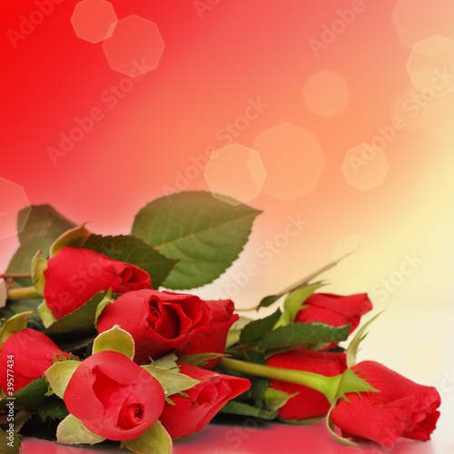 Floral border - red roses background