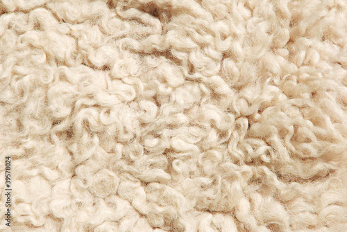 sheep fur texture.