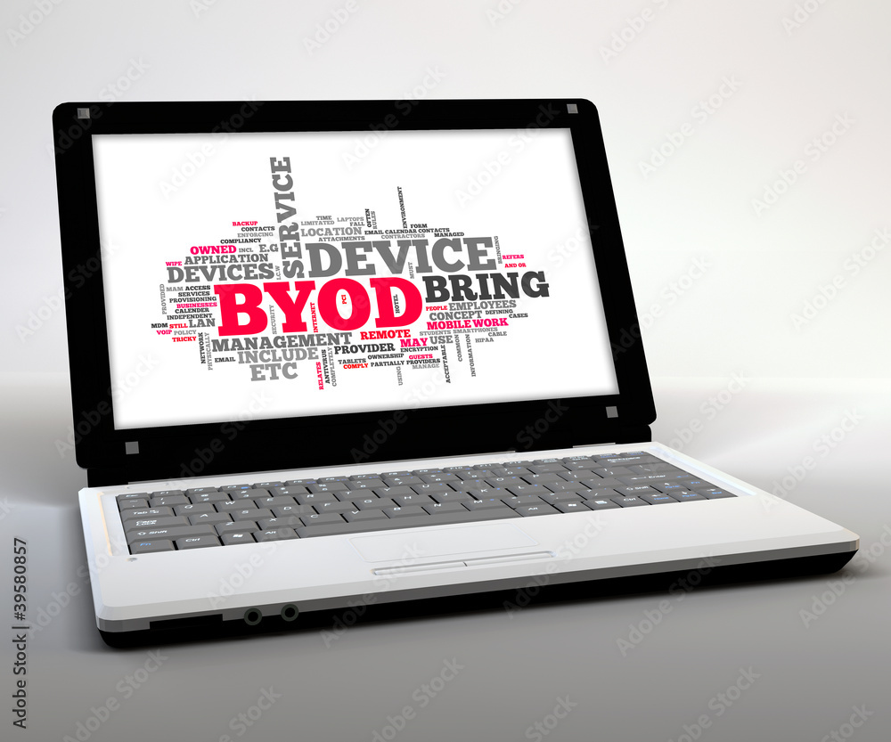 Mobile Thin Client / Netbook Mobile Thin Client / Netbook