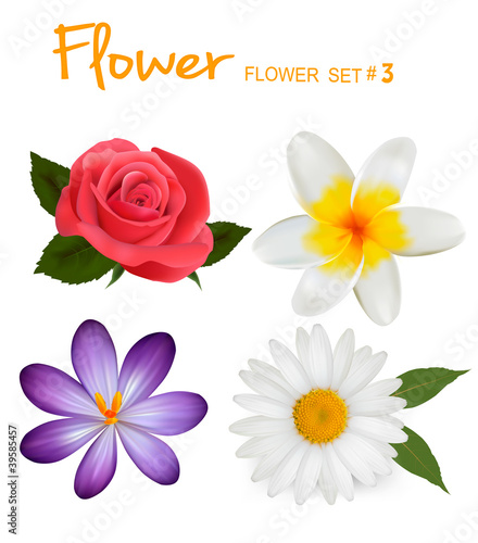 Fototapeta Naklejka Na Ścianę i Meble -  Big set of beautiful colorful flowers