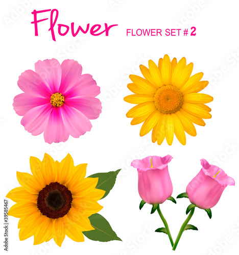 Fototapeta Naklejka Na Ścianę i Meble -  Big set of beautiful colorful flowers. Design flower set