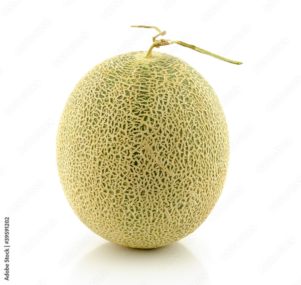 cantaloupe melon