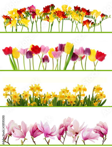 Spring flower borders